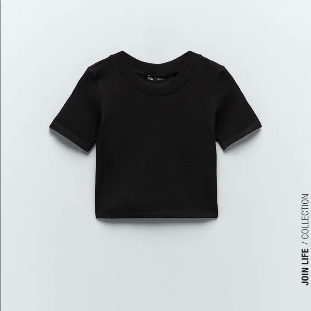 Zara crop top